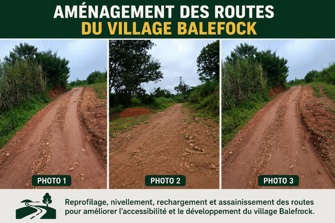 Am&eacute;nagement des Routes du Village Balefock