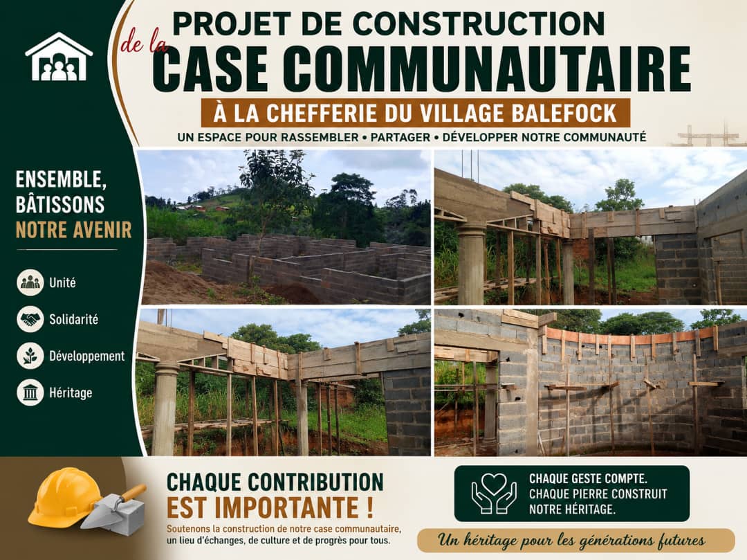 Construction du Projet de Case Communautaire