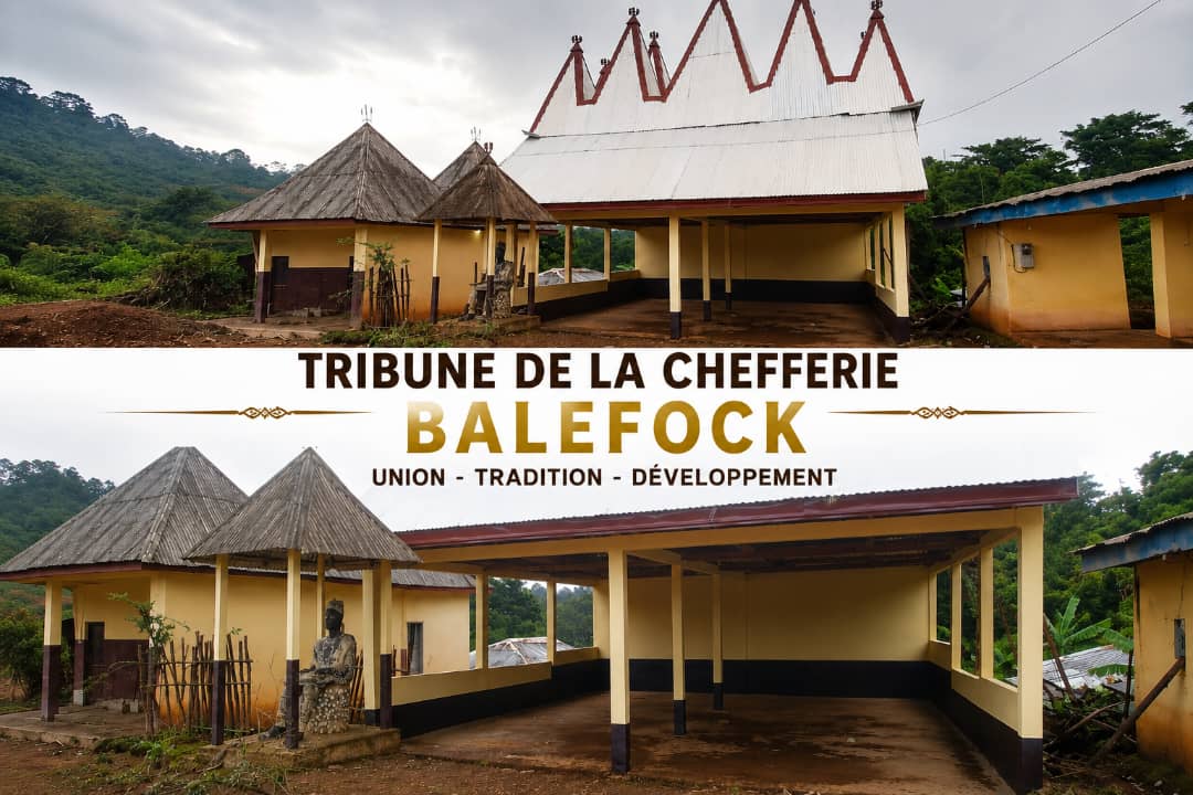 Rénovation de la coopérative à la chefferie